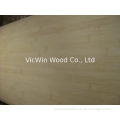 Sliced Natural Bamboo Wood Veneer Sheet, Natural Vertical (nv)